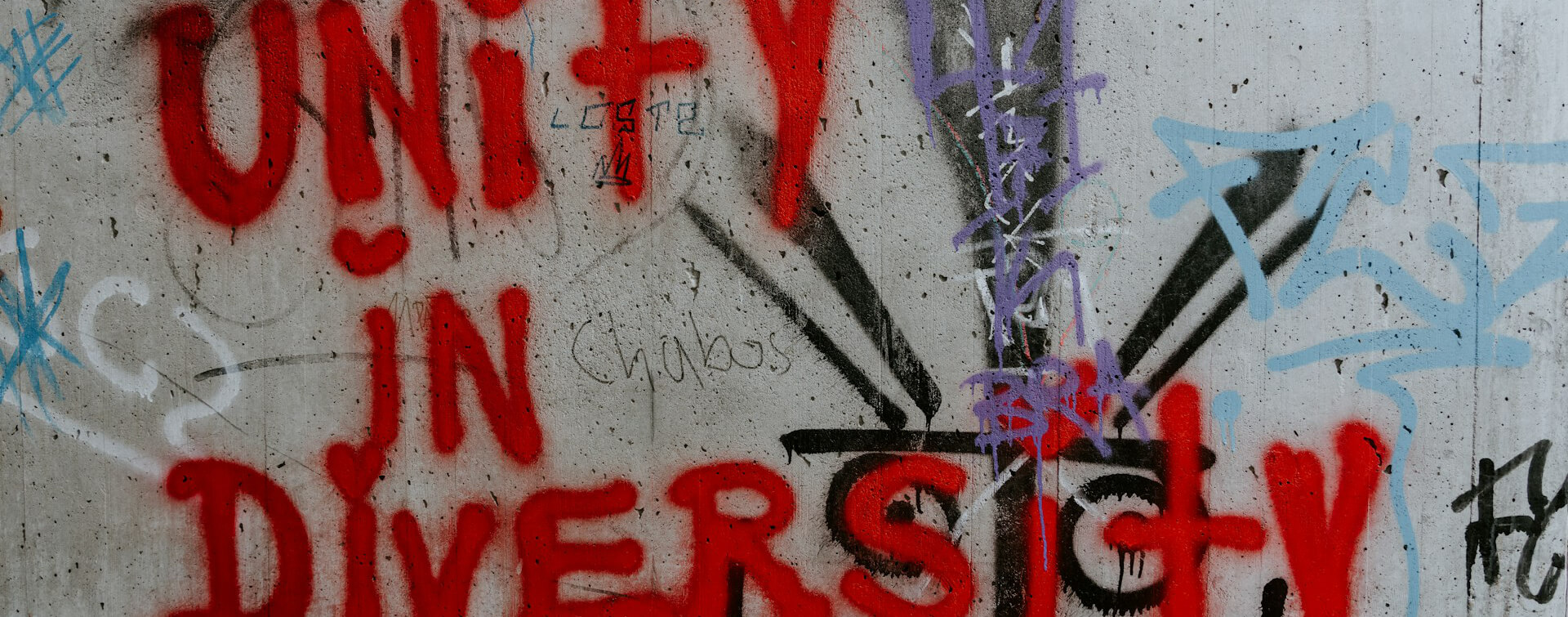 Photo de Claudio Schwarz sur Unsplash